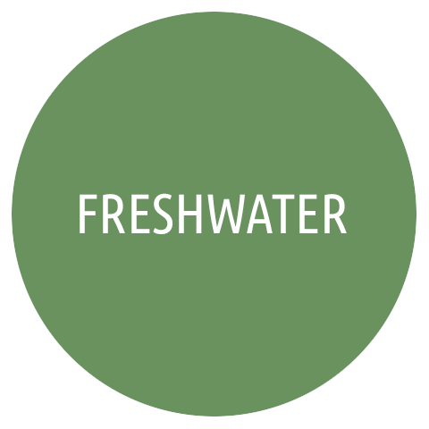 Fresh Water Rods Il Pescatore Prato